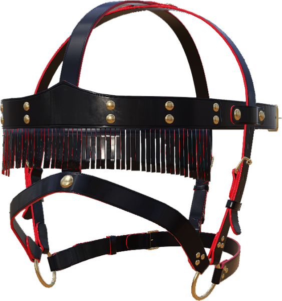 File:Hg lashes accessories.png