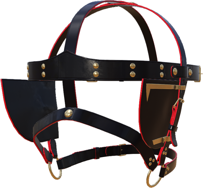 File:Hg blinders accessories.png