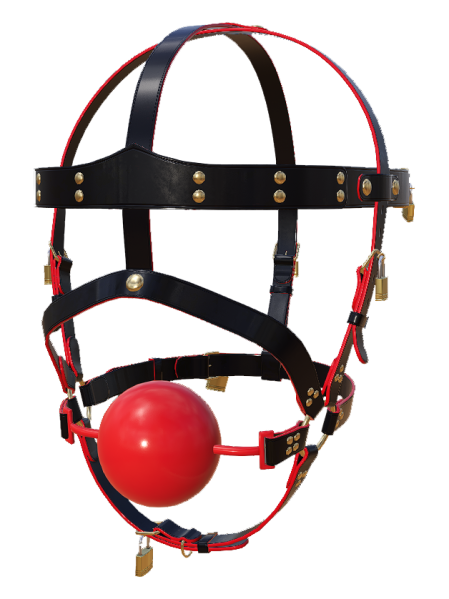 File:Hg gag ball2.png
