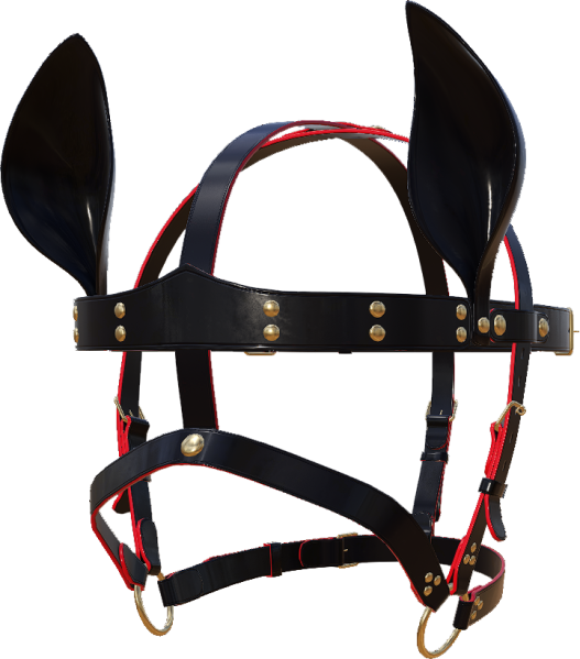 File:Hg ears accessories.png