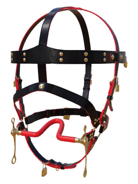 File:Hg gag ring2.png