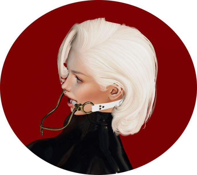 File:Bridle long white.png