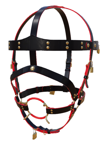 File:Hg gag ring3.png